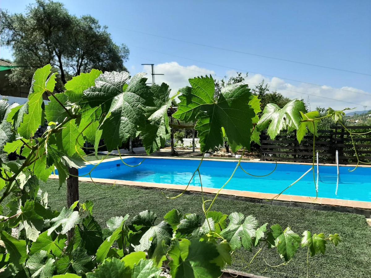 Vivienda Rural Maestro Herrador Ubrique Ngoại thất bức ảnh